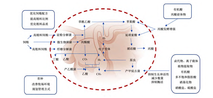 屏幕截图 2024-01-13 172123.png